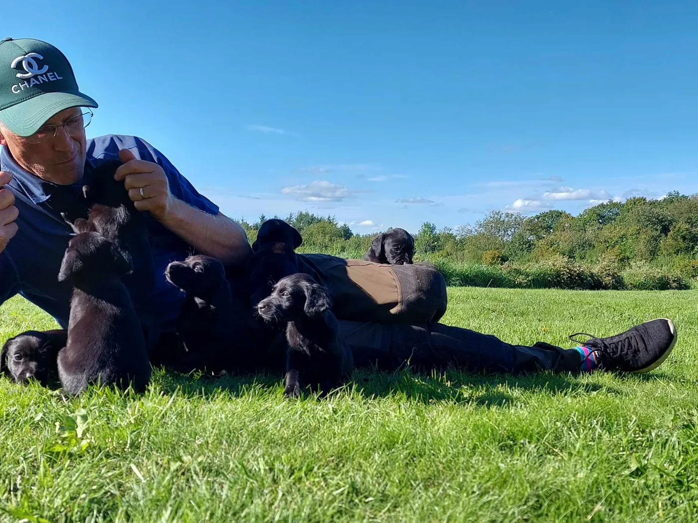 Iver Sørensen ligger i græsset med et kuld sorte Labrador-hvalpe