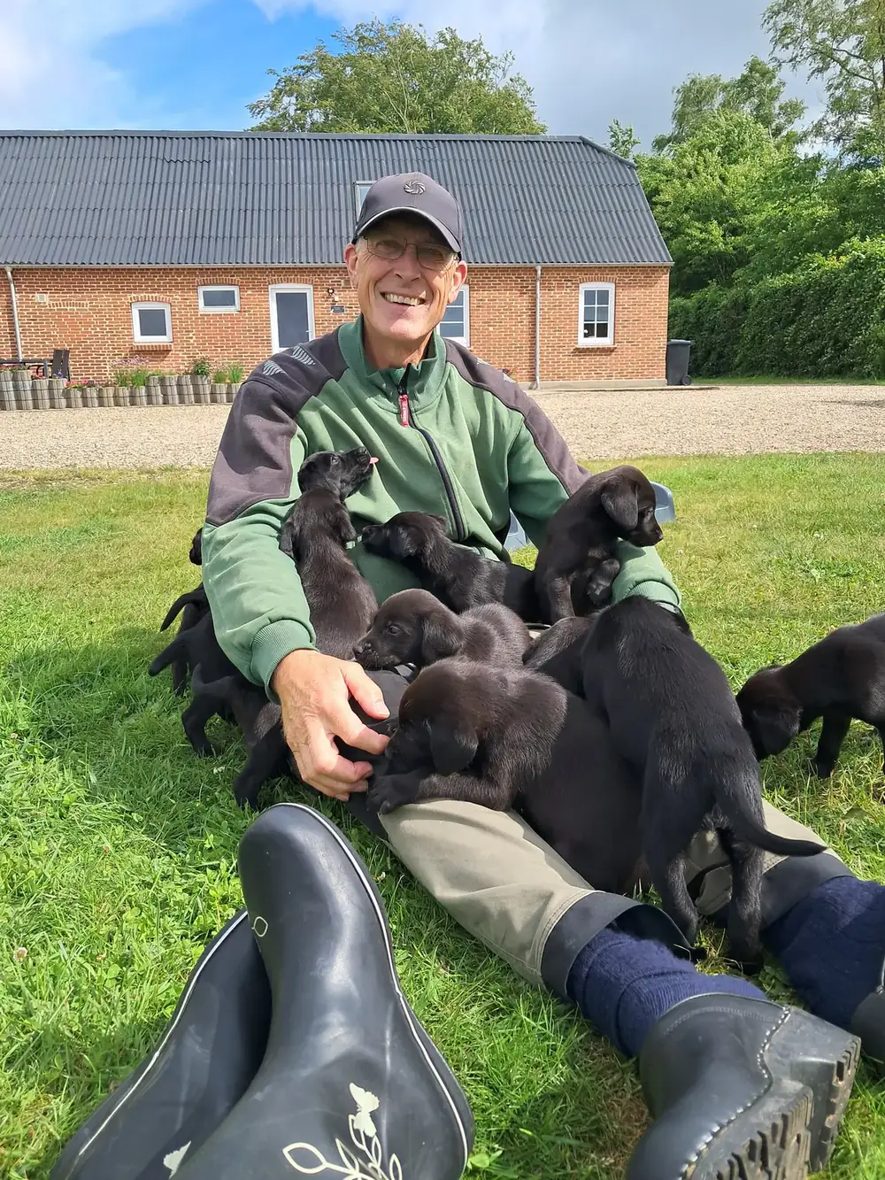 Iver med et kuld sorte Labrador-hvalpe foran gården i Grønbjerg — billede 1 af 2